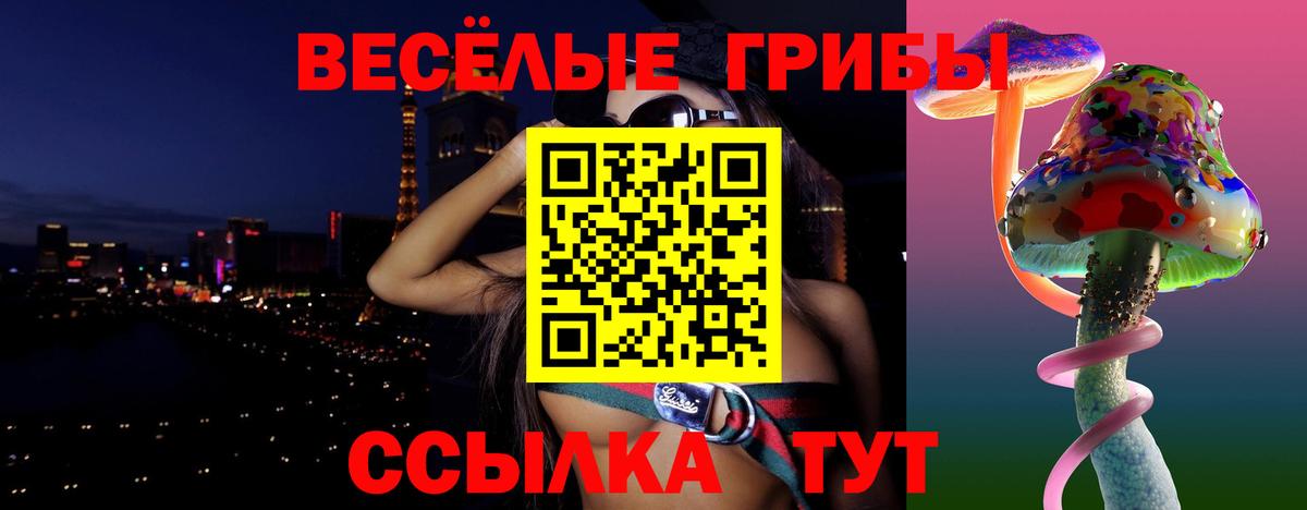 Чехов  Псилоцибиновые грибы Psilocybe  Вход с VPN 